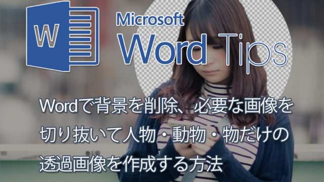 Wordで背景を削除 必要な画像を切り抜いて人物 動物 物だけの透過画像を作成する方法 家電 ジャンク品 故障品 オーディオ ハードオフ買取品修理の修業中ブログ