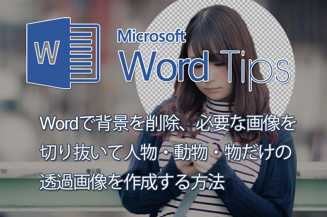 Wordで背景を削除 必要な画像を切り抜いて人物 動物 物だけの透過画像を作成する方法 家電 ジャンク品 故障品 オーディオ ハードオフ買取品修理の修業中ブログ